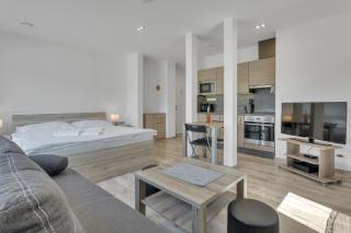 Family Apartments Klínovec - Loučná pod Klínovcem - 3