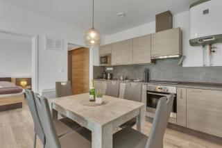 Family Apartments Klínovec - 1