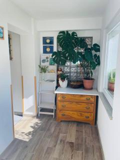 Apartma & Studio Pavla - 7
