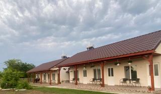 Houses by the sea - 7