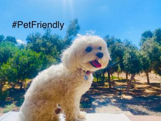 Bungalow Sequero #Pet Friendly - Tuineje - 0