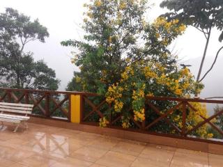 Sitio Sombra da Mata - Marechal Floriano - 3