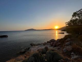 Sounio Studio refurbished - Sounio - 8