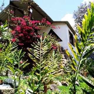 Finca Campestre Rancho Alegre - 7