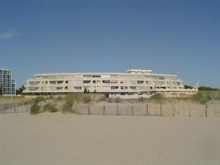 Studio climatisé avec piscine et parking - Port Camargue - FR-1-250-239 - Le Grau-du-Roi - 8