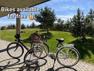 BlueSeaPearl apartamentai Palanga, Šventoji - Palanga - 3