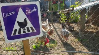 Zimmervermietung Zahn - 1