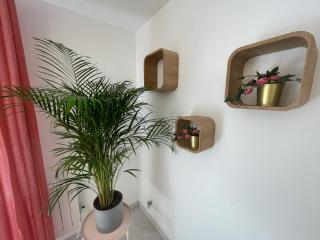 Le Grand DOLLFUS, 90m2 de charme au coeur de ville - Mulhouse - 1
