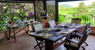 La Tinaia Country House - 9