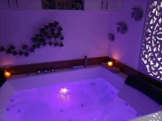 Cocoon inn&Spa - Saint-Saturnin-les-Avignon - 9