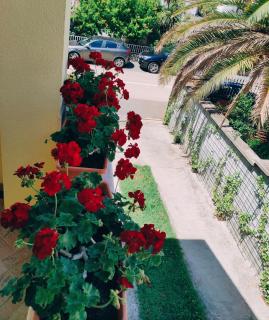 Apartment Novigrad - Novigrad - 5