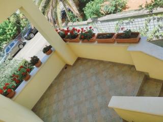 Apartment Novigrad - 7