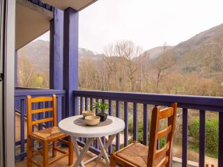 Appartement à Vielle-Aure, 6 pers, proche centre Saint Lary, parking, navette ski gratuite - FR-1-296-386 - 4