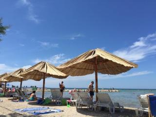 Apartments Jasna in Zaton close to the beach - Zaton - 5