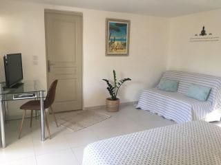 Studio indépendant de 32 m² dans les oliviers - Belgentier - 2