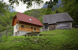 Zadnjica Holiday House - 5