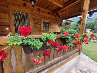 Apartmani d&s - Mokra Gora - 1