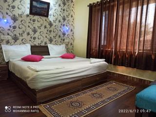 Hotel curio's All seasons - Srinagar - 2