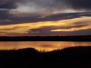 Coorong Island Retreat - Farm Stay at Pet Friendly Property - Meningie - 9
