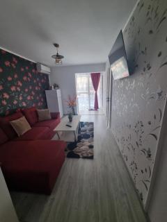 Apartament Alina - 7
