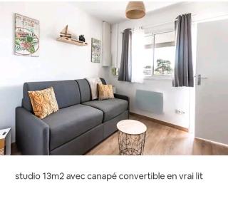 STUDIO BISCARROSSE PLAGE - Biscarrosse-Plage - 9