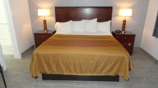 ECONOMY INN - Brownfield - 3