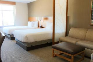 Hyatt Place Chicago-South/University Medical Center - Chicago - 3