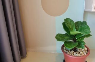 Cosy Suite Arihomestay 2BR1BTH - Kuching - 7
