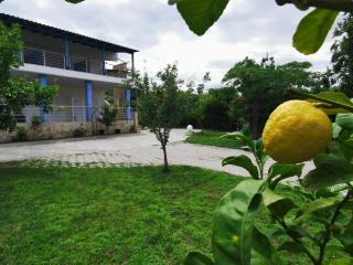 Nick House - Pefkohori - 0
