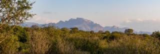 Villa Tall Horse - Zandspruit Bush and Aero Estate - 1