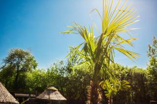 Aloha Glamp - Całoroczny glamping nad rzeką z prywatną balią - Stok narciarski, góry, lasy, sauna - 1