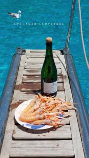 Sognando Lampedusa - Lampedusa - 7