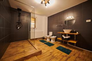 Vila Ţara Haţegului - 5
