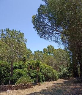 CHIA - Casarosa - Domus de Maria - 1