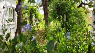 Morin Grey casa en el corazón de la Ribeira Sacra - 3
