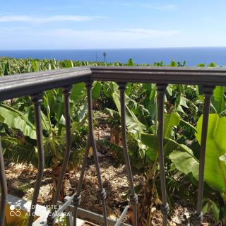 Trebol Trail Mountain La Palma Junto a Caracol - Tazacorte - 5