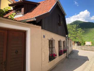 APARTMENT ZUM ROTEN TOR - Spitz - 9