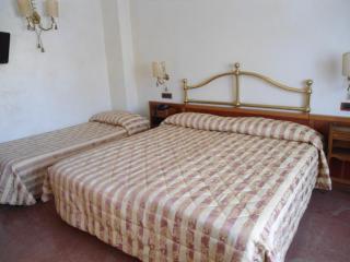 Hotel Continental - Torino - 8