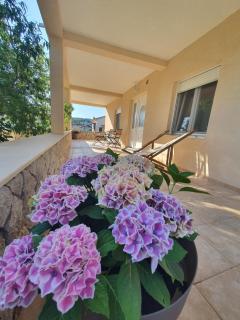 Nonna Vittoria 1 - Mali Lošinj - 7
