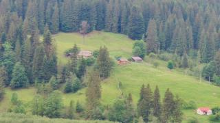 Садиба «Пасіка» відпочинок в Карпатах - Zelena - 7
