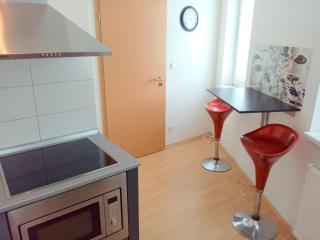 Apartment ODEON - Most - 7