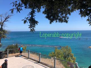 L’OPERÀ - Sirolo - 9