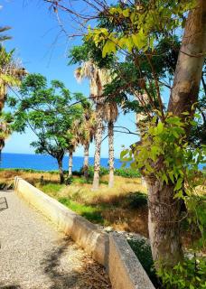 Villa Aphrodite by the Sea - Paphos - 7