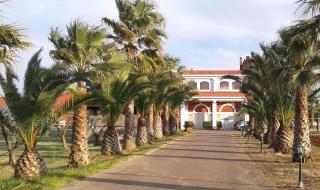 Tenuta Annibale - Leverano - 0
