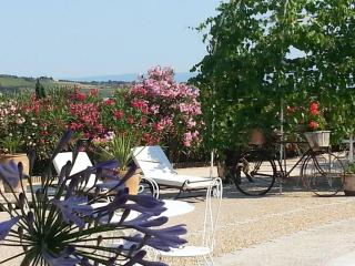 Gîte en Pays Cathare - 9