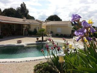 Gîte en Pays Cathare - 5