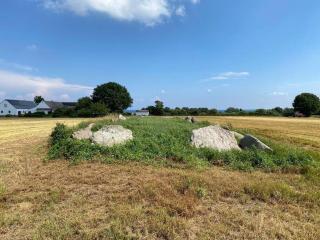 Idyllisk gård med ro, plads og havudsigt - 6