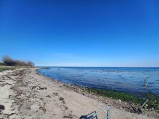 Idyllisk gård med ro, plads og havudsigt - 2