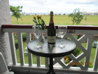 Sefton Lodge SEAFRONT ,PANORAMIC SEA VIEW ENSUITE BALCONY ROOMS AVAILABLE, GUEST GARDEN - Paignton - 7
