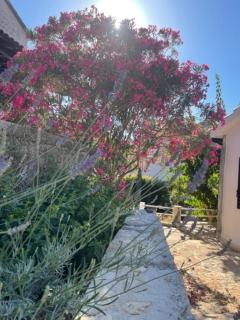 Vacation house Benedetto - Supetar - 1
